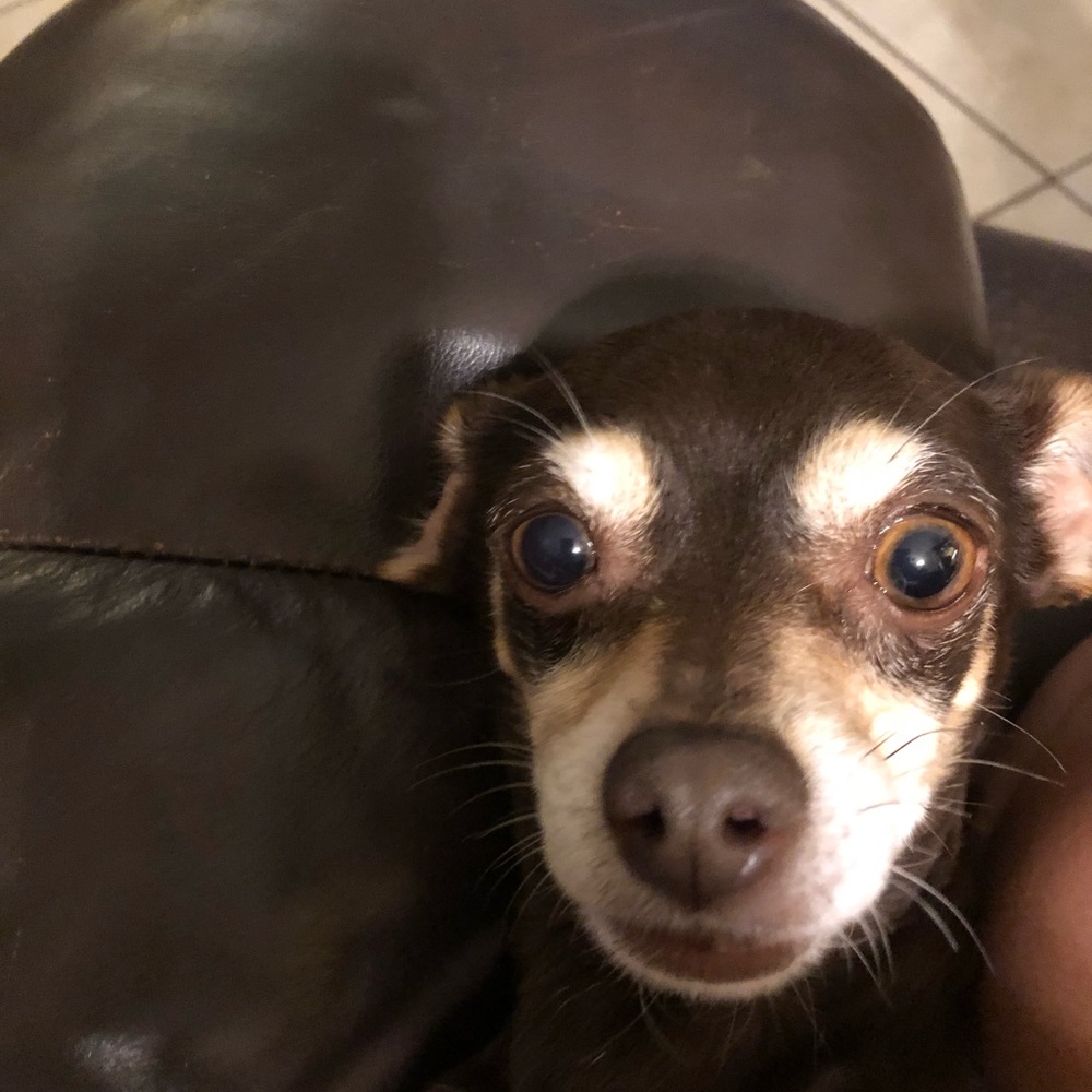 Meet your Posher, Christina